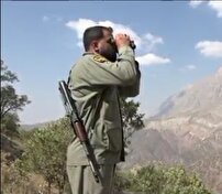 محیط بان چشمان بیدارطبیعت