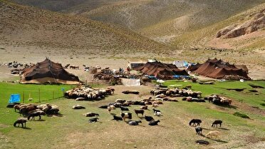 توزیع جو دولتی بین عشایر دنا و مارگون