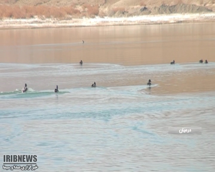 سد رزه درمیان زیستگاه 3 هزار پرنده سیبری