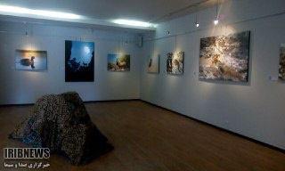 گشایش نمایشگاه حیات وحش در بیرجند