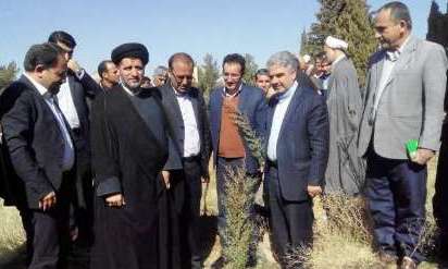 مشارکت مردم در طرح درختکاری