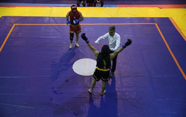 ووشوکاران تیم کشورهای اسلامی معرفی شدند ووشوکاران تیم کشورهای اسلامی معرفی شدند