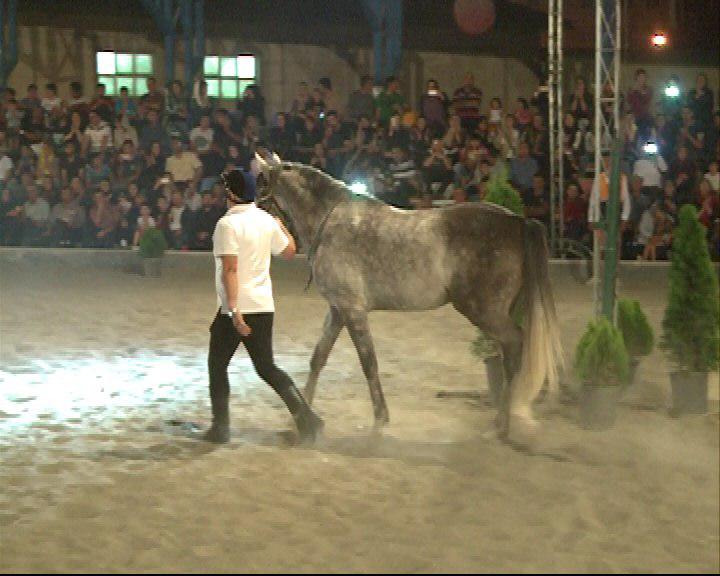 جشنواره اسب فلات ایران در ارومیه