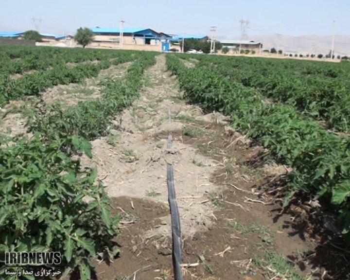 تجهیز 40 درصد زمین های کشاورزی اسدآباد به سامانه آبیاری نوین تجهیز 40 درصد زمین های کشاورزی اسدآباد به سامانه آبیاری نوین