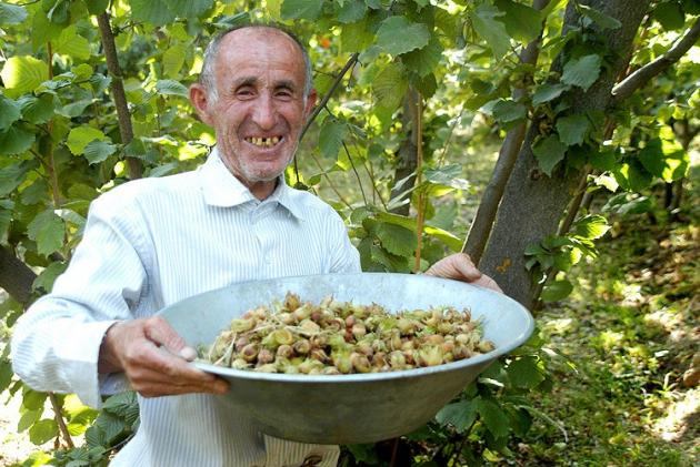 فندق نوبرانه گیلان در بازار