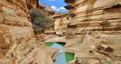 گزارش مکتوب؛ هرمزگان قطب گردشگری در فصل سردسال