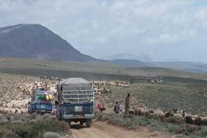 ورود عشایـر ایل قشقایـی به شهرضا و دهاقان ورود عشایـر ایل قشقایـی به شهرضا و دهاقان