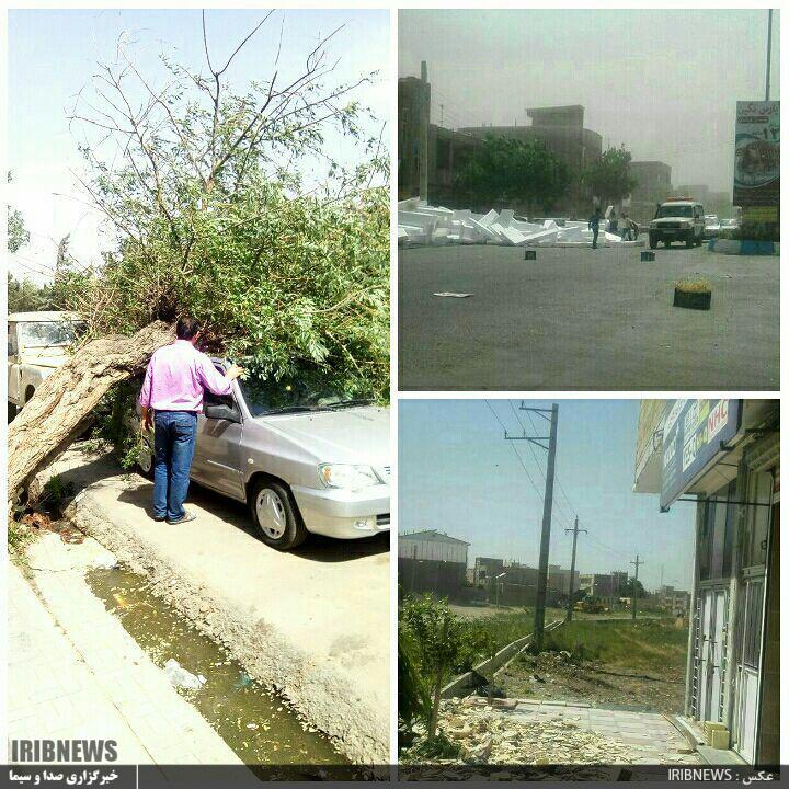 تند باد شدید با سرعت 85 کیلومتر در ساعت پارس آباد را در نوردید + فیلم