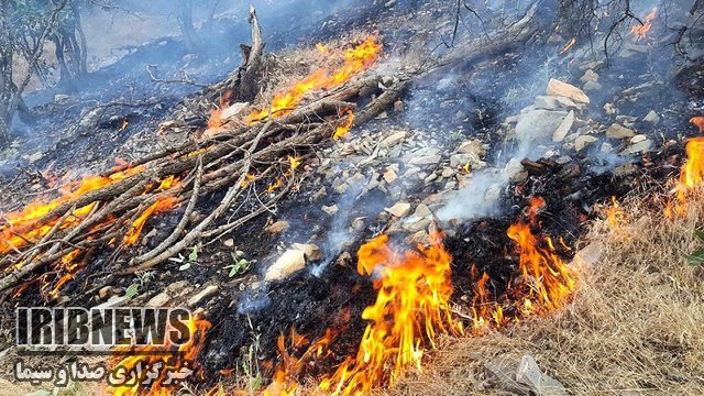 آتش سوزی در مزارع گندم حومه شرقی دهدشت آتش سوزی در مزارع گندم حومه شرقی دهدشت