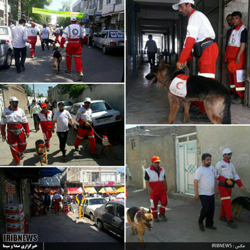 گزارش// همه ماجرای گم شدن آتنا اصلانی و اعترافات قاتل گزارش// همه ماجرای گم شدن آتنا اصلانی و اعترافات قاتل