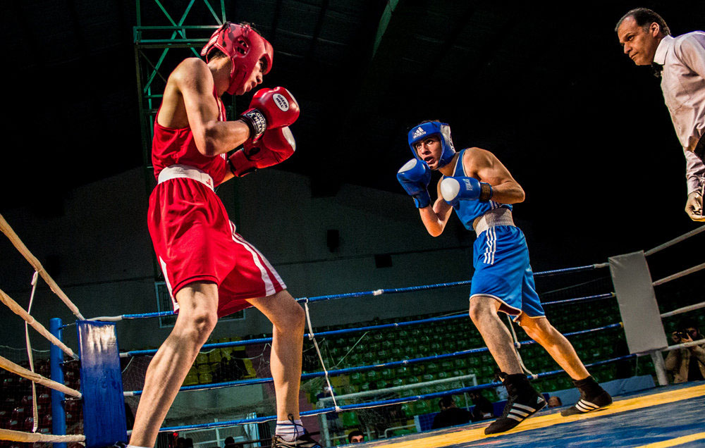 رقابت بوکسورها در غیاب سرمربی تیم ملی رقابت بوکسورها در غیاب سرمربی تیم ملی