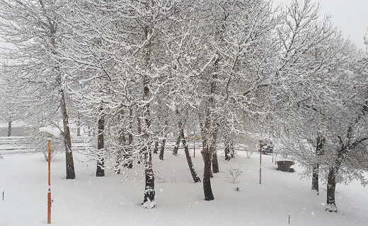 بارش برف سنگین در ارومیه/کاهش ۶ درجه‌ای هوا در آذربایجان غربی