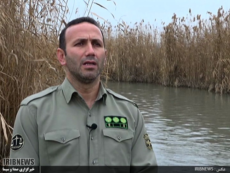 کشف 10قبضه اسلحه شکاری  در پارس آباد