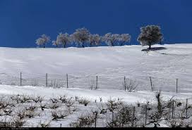 بدرانلو پربارش ترین نقطه خراسان شمالی بدرانلو پربارش ترین نقطه خراسان شمالی