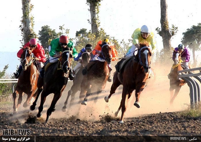 پیمان قلرعطا و علیمحمد غراوی چابکسواران برتر هفته شانزدهم کورس زمستانه گنبدکاووس پیمان قلرعطا و علیمحمد غراوی چابکسواران برتر هفته شانزدهم کورس زمستانه گنبدکاووس