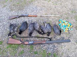 دستگیری ۲ شکارچی در بندرانزلی