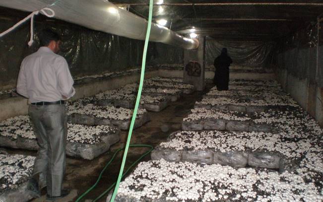 راه اندازی 700طرح اقتصاد مقاومتی