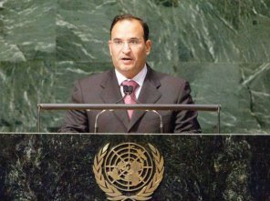 جنايات عليه مسلمانان روهينگيا، پاکسازي نژادي است