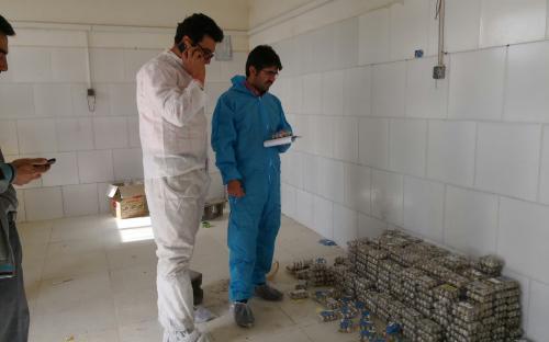 توقیف تخم بلدرچین تاریخ گذشته توقیف تخم بلدرچین تاریخ گذشته