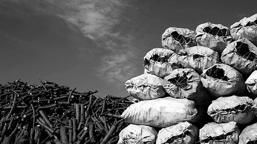 كشف محموله زغال بلوط قاچاق در دهاقان