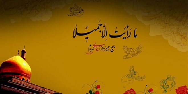 همایش«ما رایت الا جمیلا» در قزوین