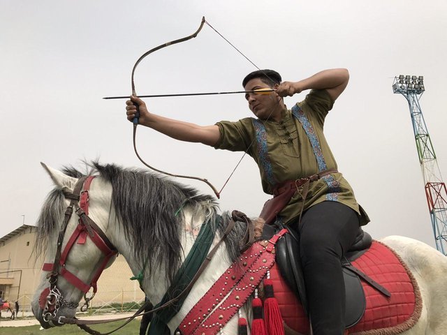 مسابقات هنر‌های رزمی سواره قهرمانی فارس