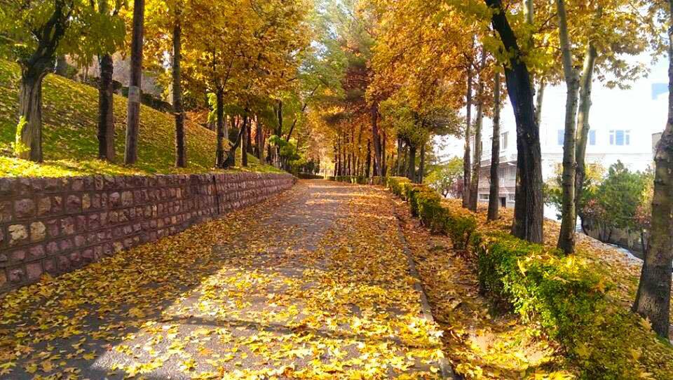 امپراتور پاییز...