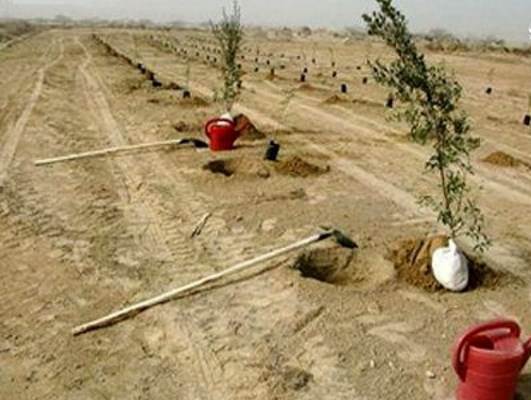 آزادی، به شرطِ احسان آزادی، به شرطِ احسان