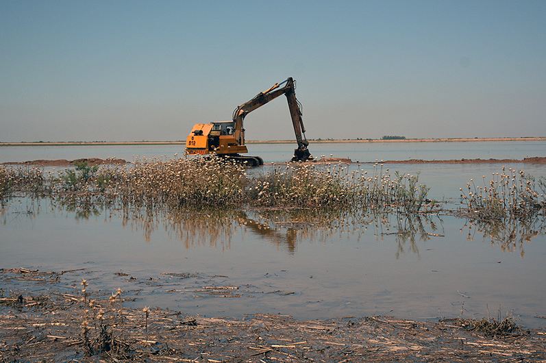 در همسایگی آب