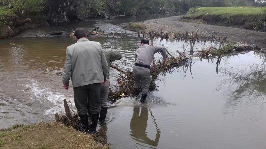 پاکسازی رودخانه‌های تالش از دام ماهیگیر‌ها