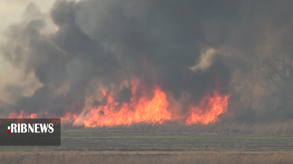 مهار آتش سوزی جنگلهای رود ارس در پارس آباد مهار آتش سوزی جنگلهای رود ارس در پارس آباد