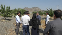 هرمزگان رتبه نخست توسعه سیستم‌های نوین آبیاری در کشور