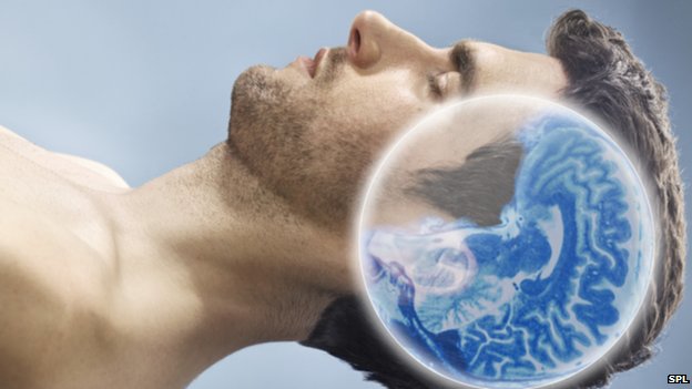 درهنگام خواب، مغز انسان پاک و شستشو می‌شود