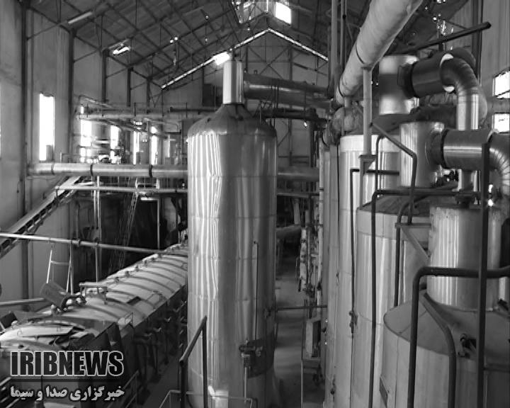 تلاش برای شیرین کامی بردسیری ها