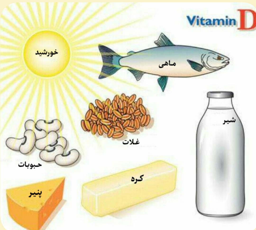 نقش ویتامین D در تقویت سیستم ایمنی بدن انسان