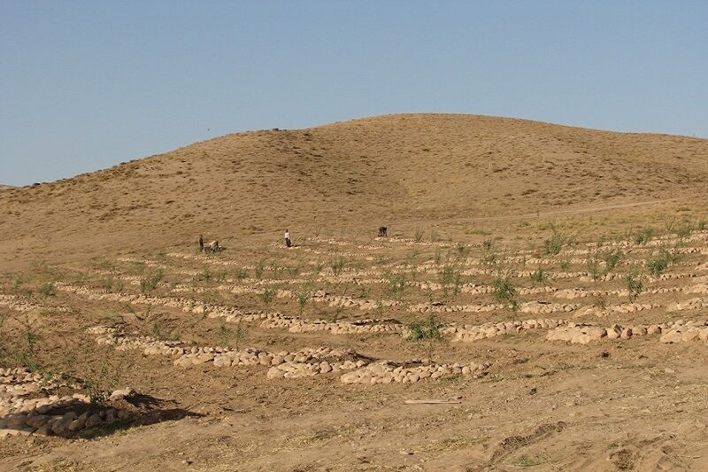 طرح توسعه باغ و کشت گیاهان دارویی در ۲۵۳ هکتار از اراضی قزوین اجرا شد