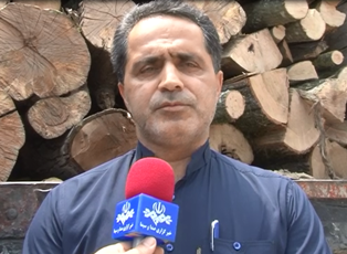 کشف چوب آلات قاچاق در قائمشهر