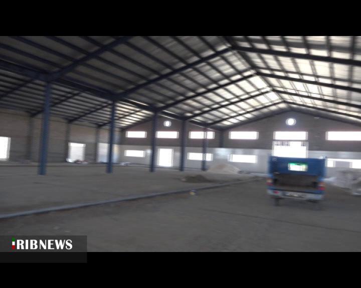 تلاش برای تبدیل مغان به قطب تولیدات گلخانه ای کشور تلاش برای تبدیل مغان به قطب تولیدات گلخانه ای کشور