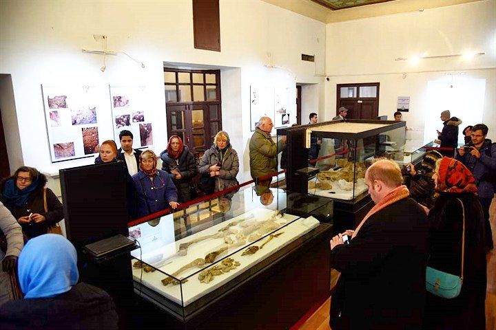 منع برگزاری تورهای گردشگری در زنجان منع برگزاری تورهای گردشگری در زنجان