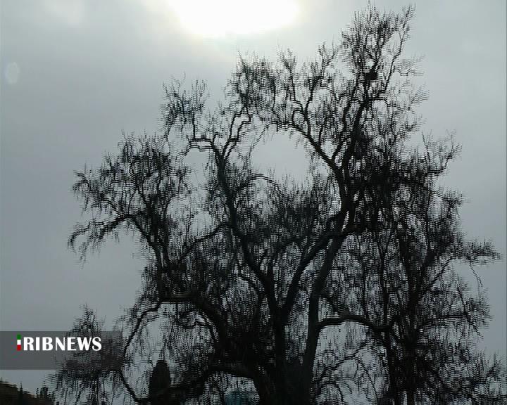 تجربه هوايي بهاري در  تابستان