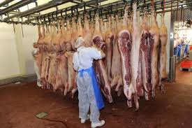 تست کرونای کارکنان کشتارگاه بلژیکی مثبت شد