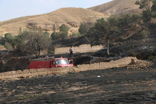 مهار آتش سوزی در بیش از 1530 هکتار از مراتع مهار آتش سوزی در بیش از 1530 هکتار از مراتع