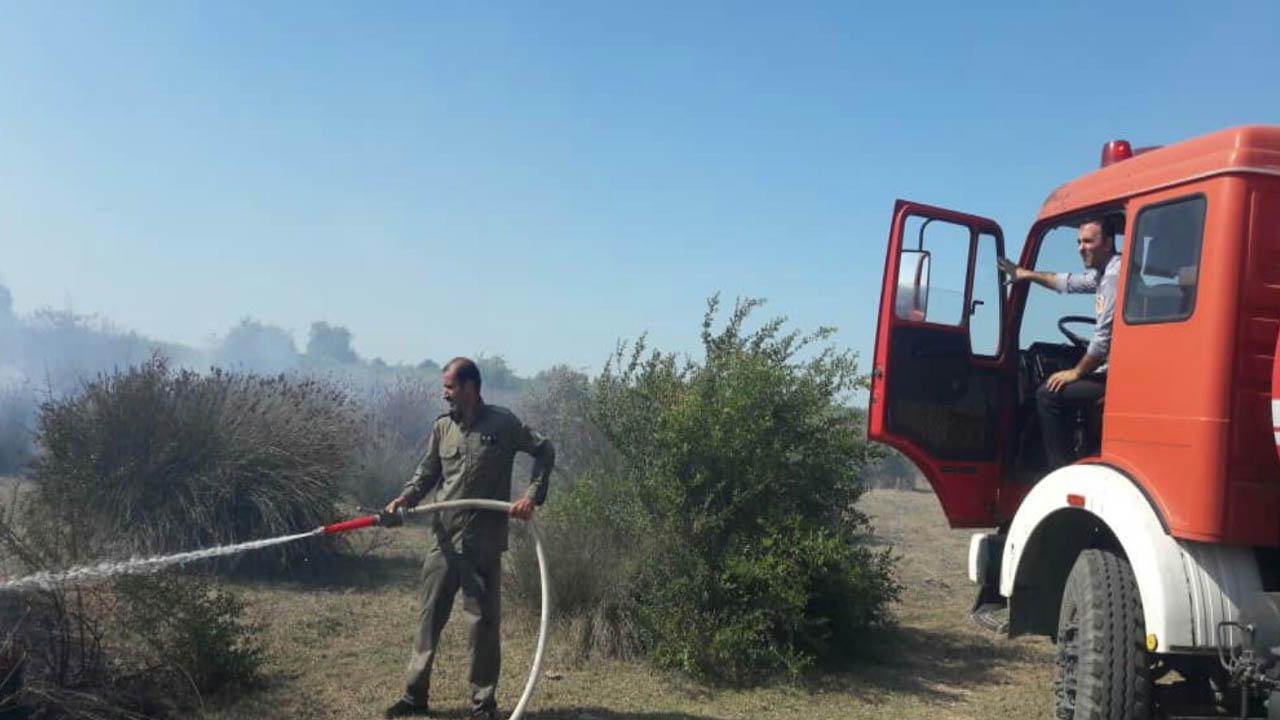 دستگیری عامل آتش سوزی در میانکاله