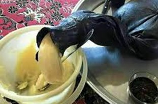 قشری مولد با تولید فرآورده&zwnj;های دامی