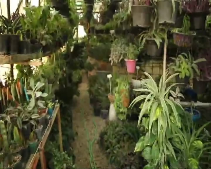 هر خانه یک کارخانه + فیلم