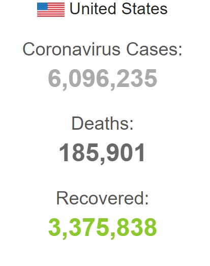 افزایش جان باختگان کرونا در آمریکا به بیش از ۱۸۵ هزار