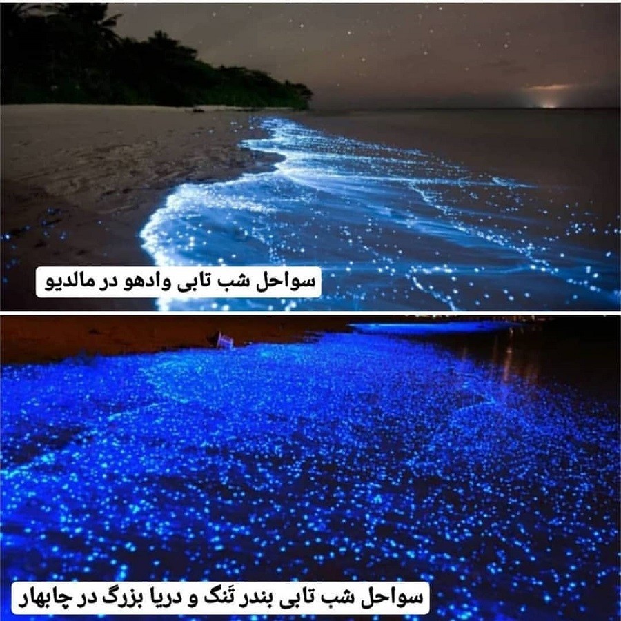 آنچه خوبان همه دارند، تو یکجا داری!