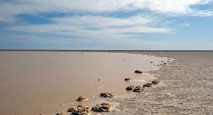 کارگروه احیای تالاب هامون در زابل کارگروه احیای تالاب هامون در زابل