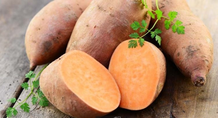 مواد غذایی مهم برای مقابله با عفونت‌های فصلی