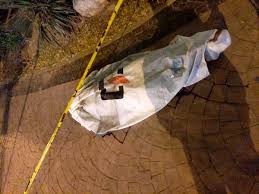 فوت عابر پیاده بر اثر عبور از عرض بزرگراه زین الدین